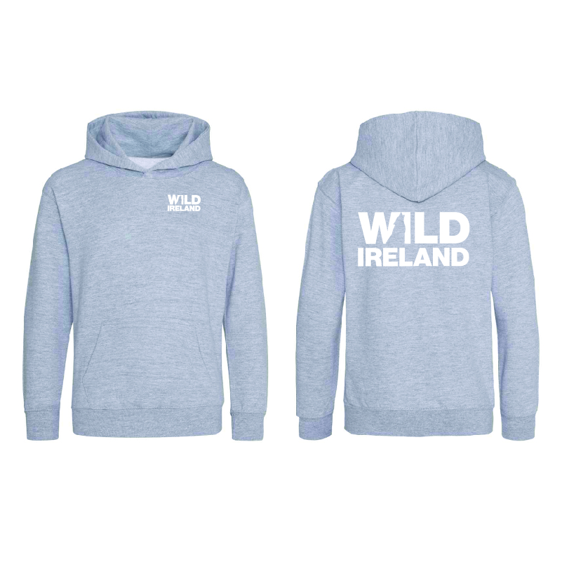 Wild Ireland Hoodie (Kids) 3 - 4 years old Heather Grey