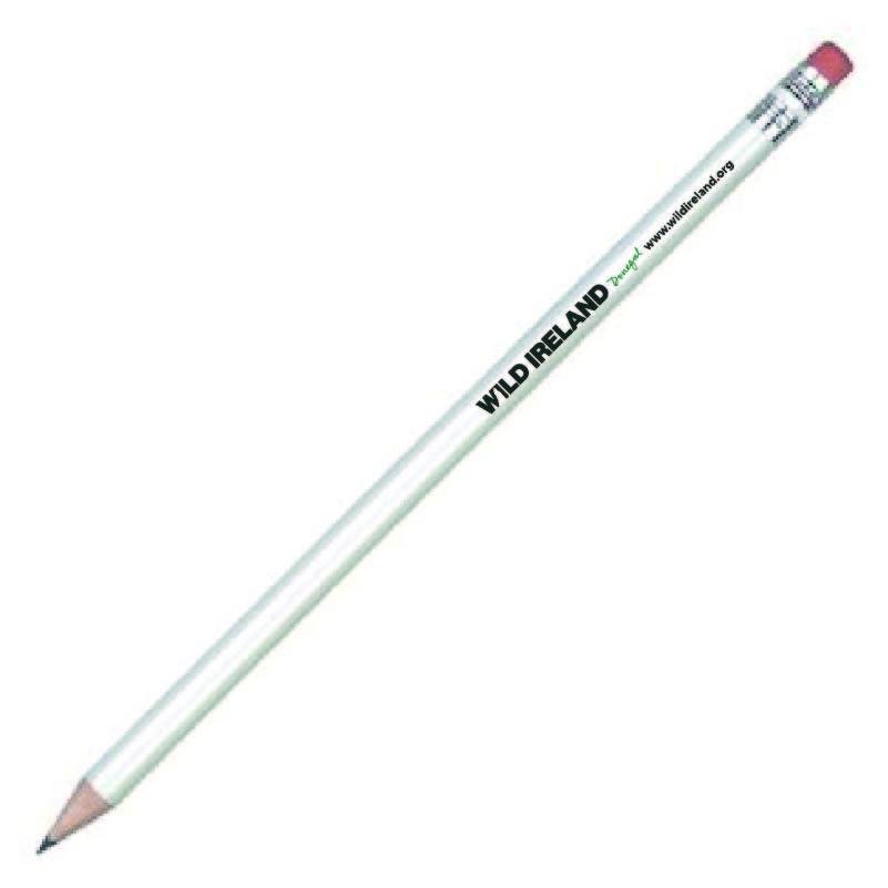 Pencil with Eraser Tip