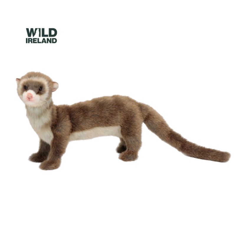 Handcrafted Ferret