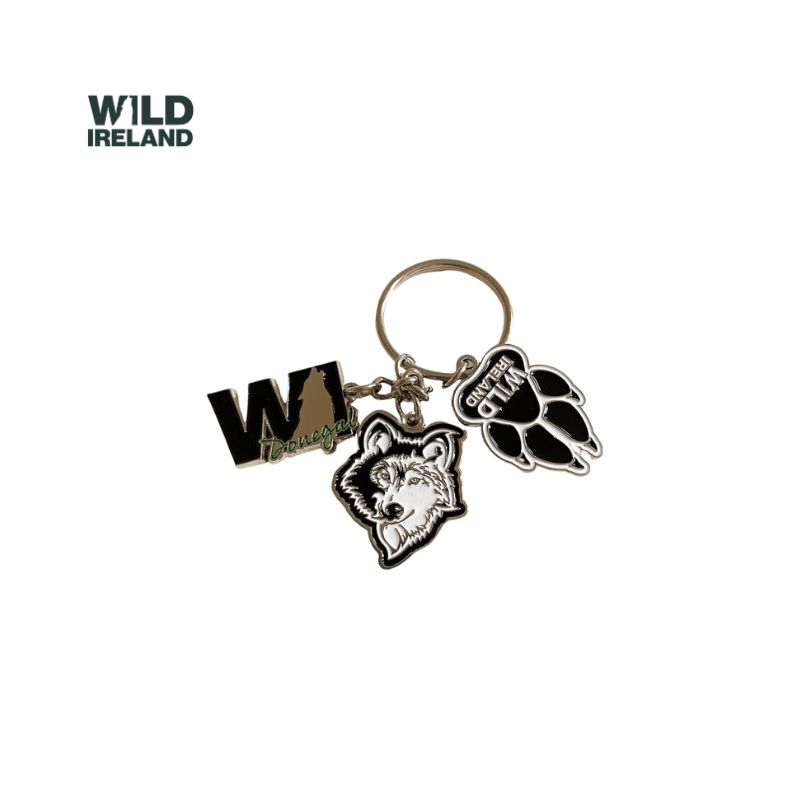 Charm Keyring