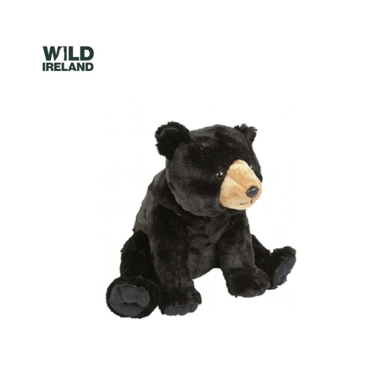 Sitting Black Bear